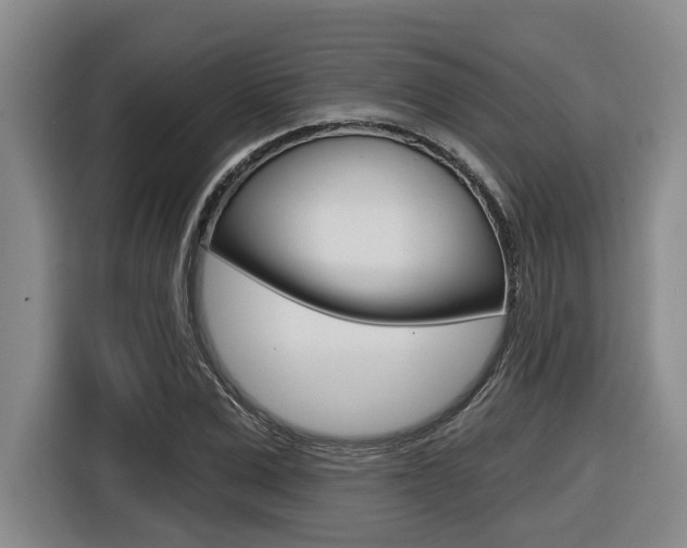 X0000116570975200912101000