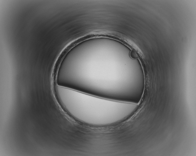 X0000116570976200912101000