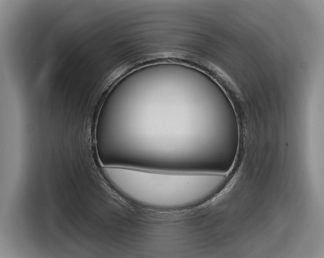 X0000116570977200912101000