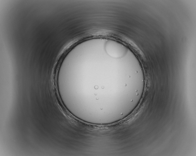 X0000116570978200912101000