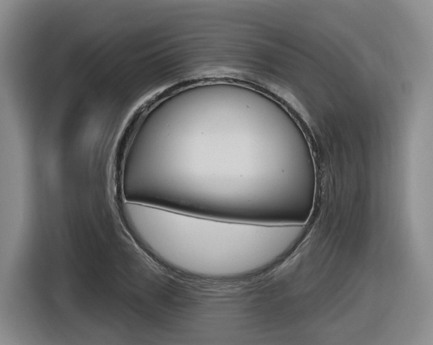 X0000116570979200912101000