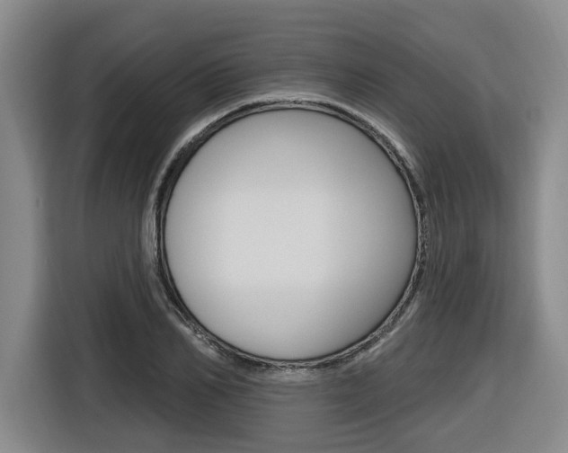 X0000116570982200912101000