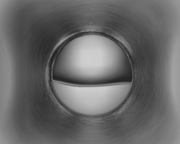 X0000116570983200912101000