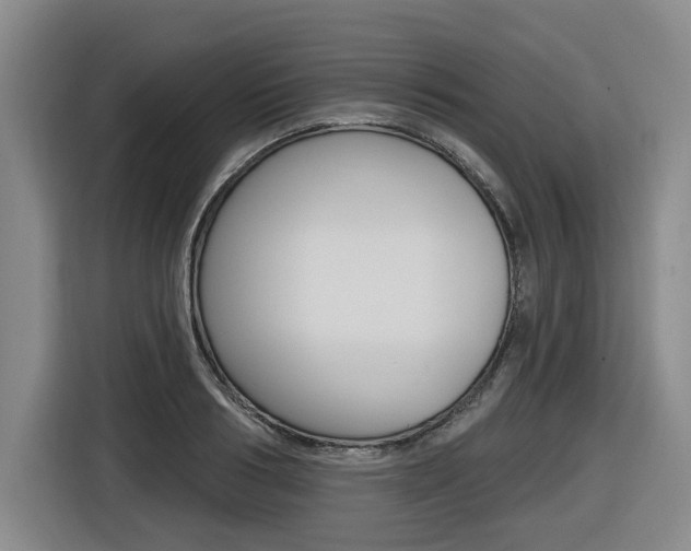 X0000116570986200912101000