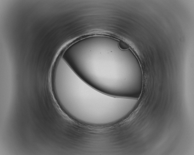 X0000116570987200912101000