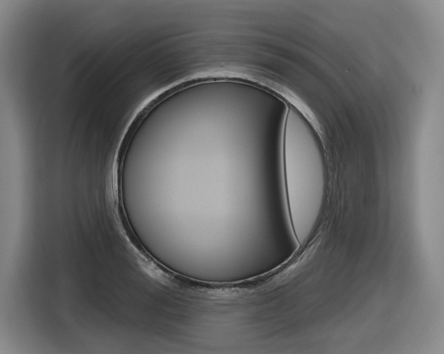 X0000116570988200912101000