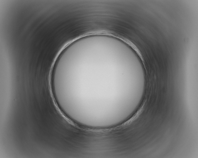 X0000116570989200912101000