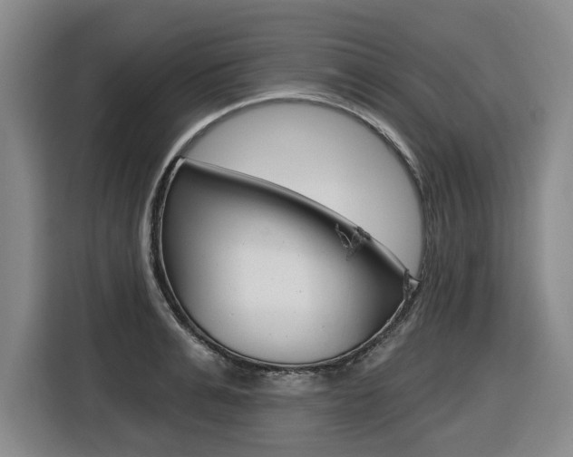 X0000116570991200912101000