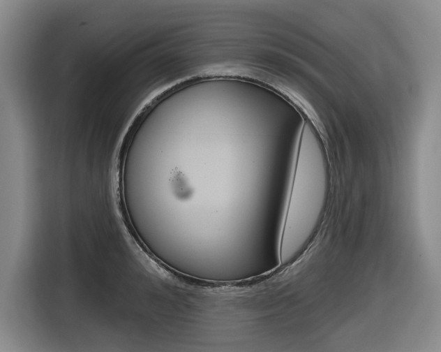 X0000116570992200912101000