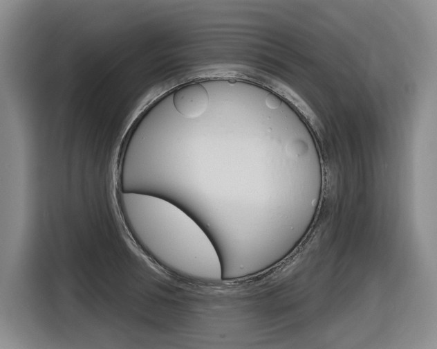 X0000116570994200912101000