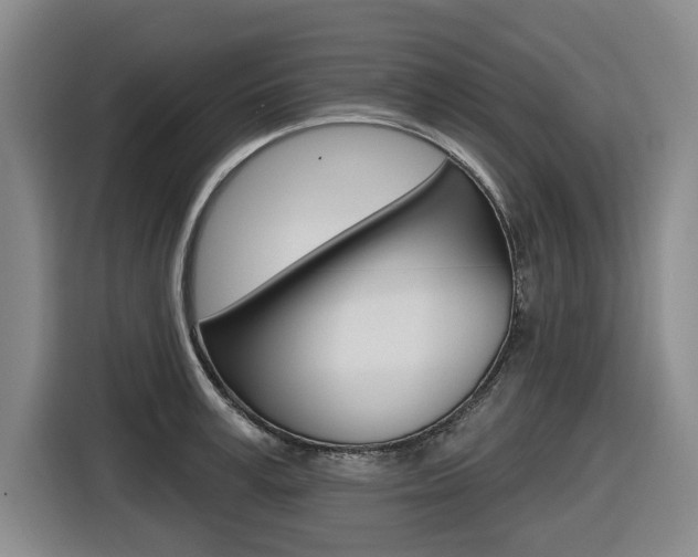 X0000116570995200912101000