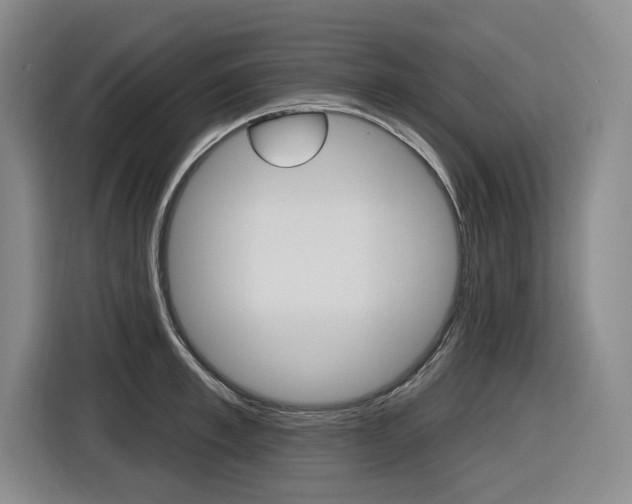 X0000116570997200912101000