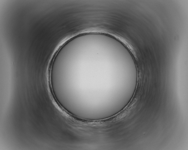 X0000116570998200912101000