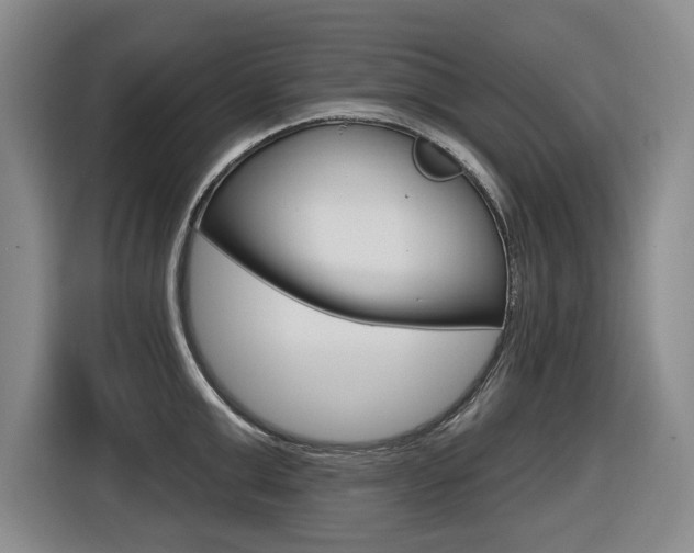 X0000116570999200912101000