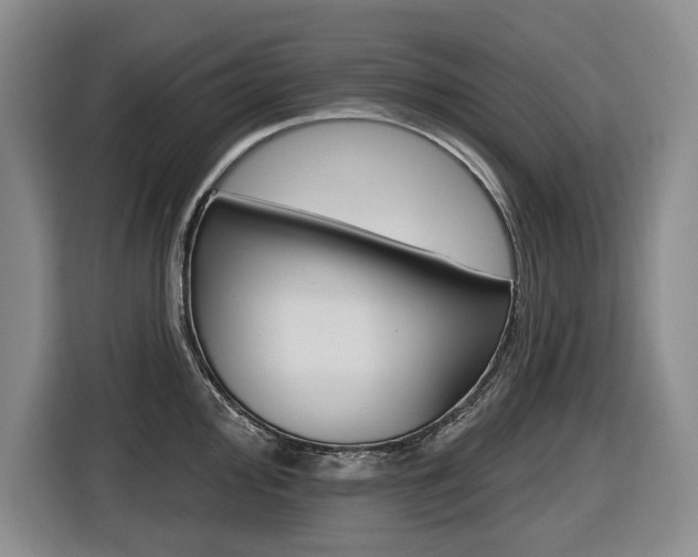 X0000116571000200912101000