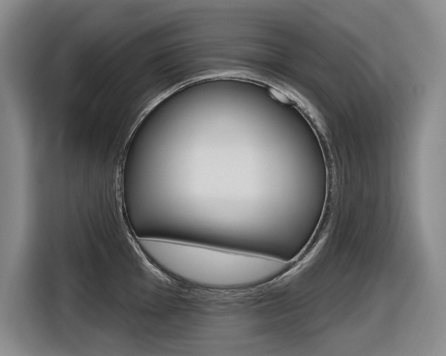 X0000116571001200912101000