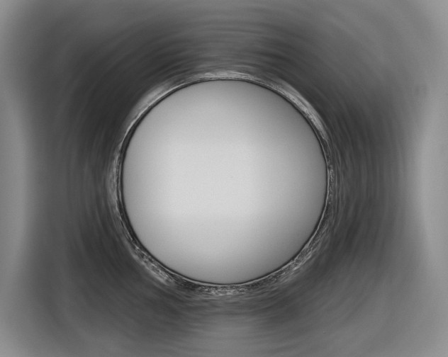 X0000116571002200912101000