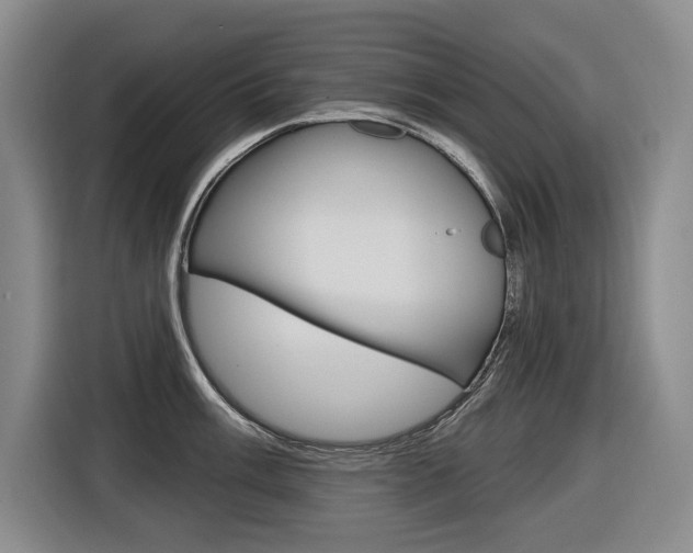 X0000116571003200912101000