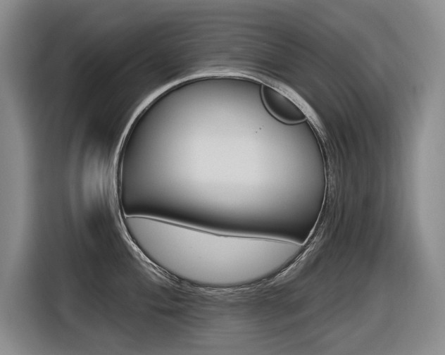 X0000116571004200912101000