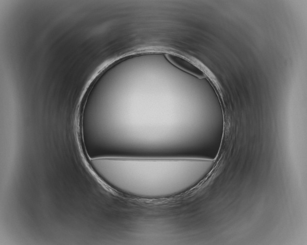 X0000116571005200912100959