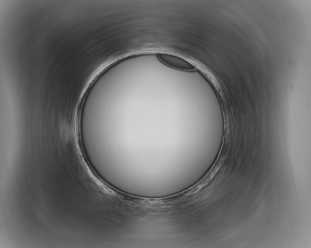 X0000116571006200912100959