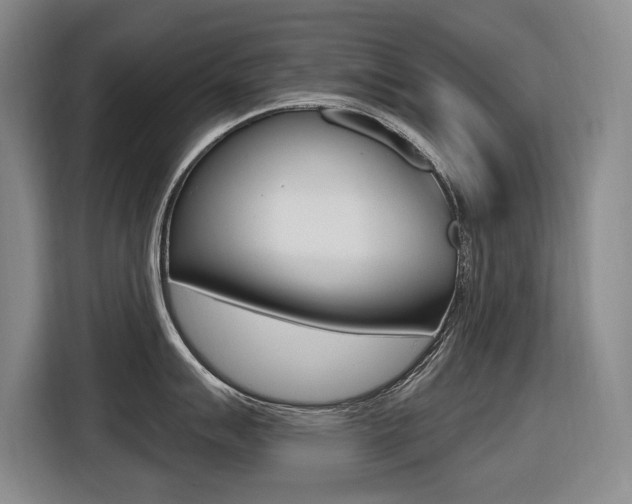X0000116571007200912100959