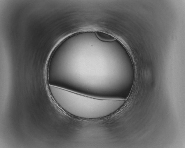 X0000116571008200912100959