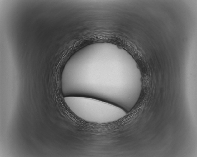 X0000116571009200912100959
