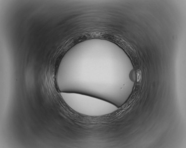 X0000116571011200912100959