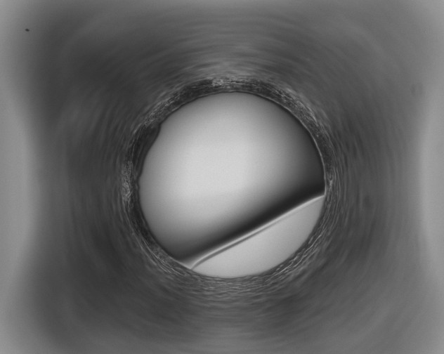 X0000116571012200912100959