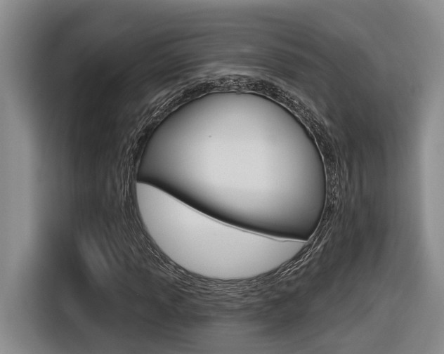 X0000116571013200912100959