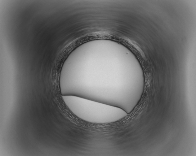 X0000116571015200912100959