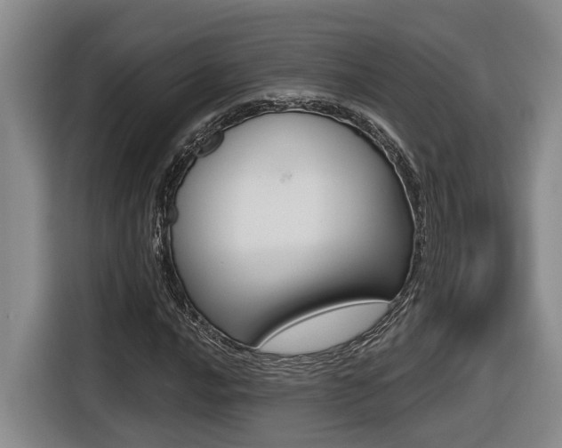 X0000116571016200912100959
