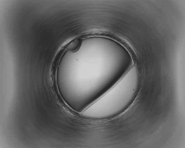 X0000116571018200912100959