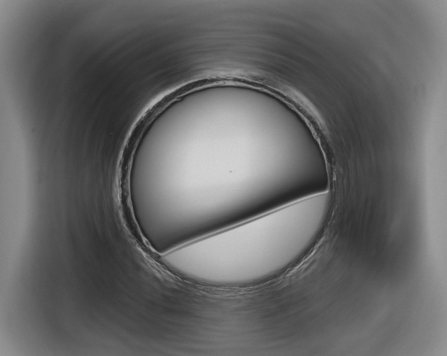 X0000116571020200912100959