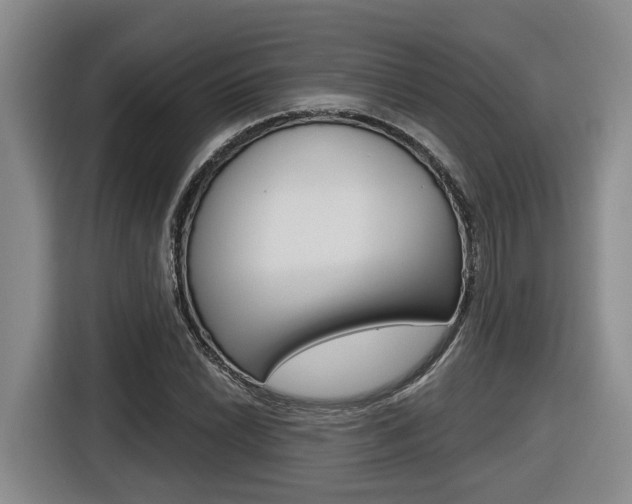 X0000116571022200912100959