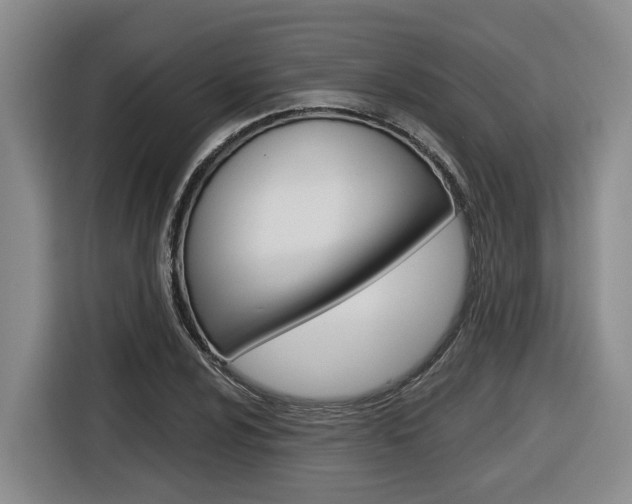X0000116571024200912100959