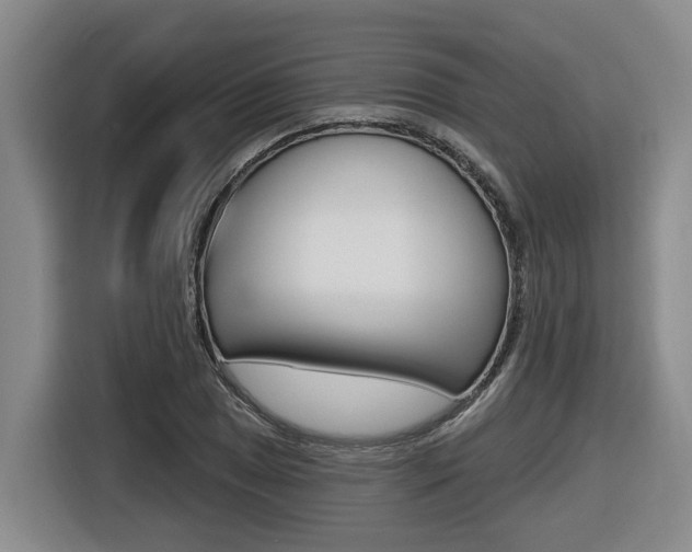 X0000116571025200912100959