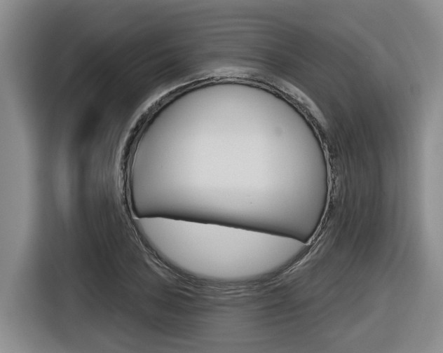 X0000116571027200912100959