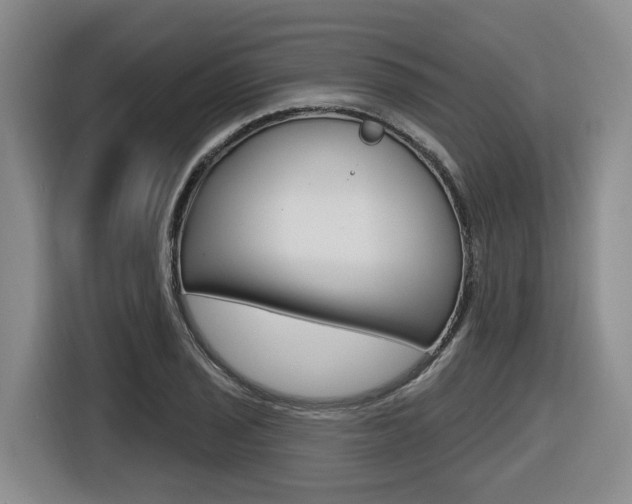 X0000116571029200912100959