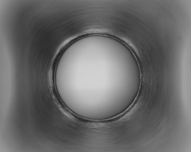 X0000116571030200912100959