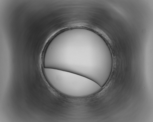 X0000116571031200912100959