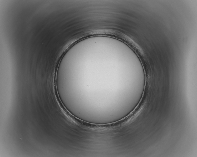 X0000116571033200912100959
