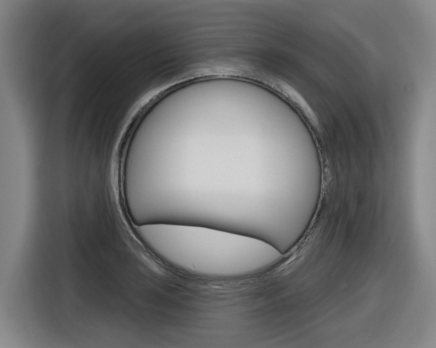 X0000116571035200912100959