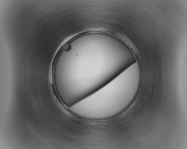 X0000116571036200912100959