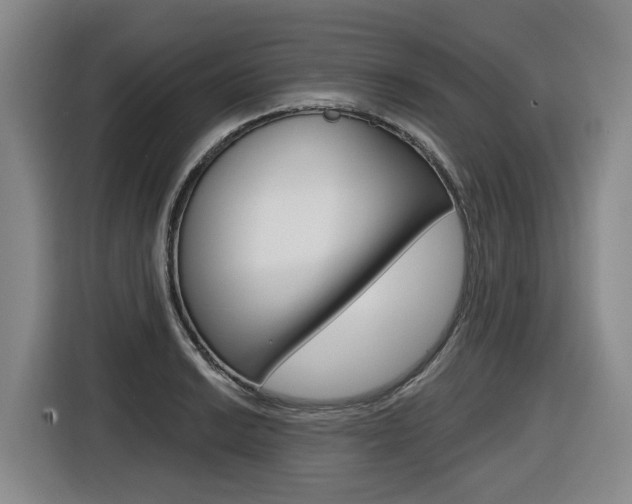 X0000116571038200912100959