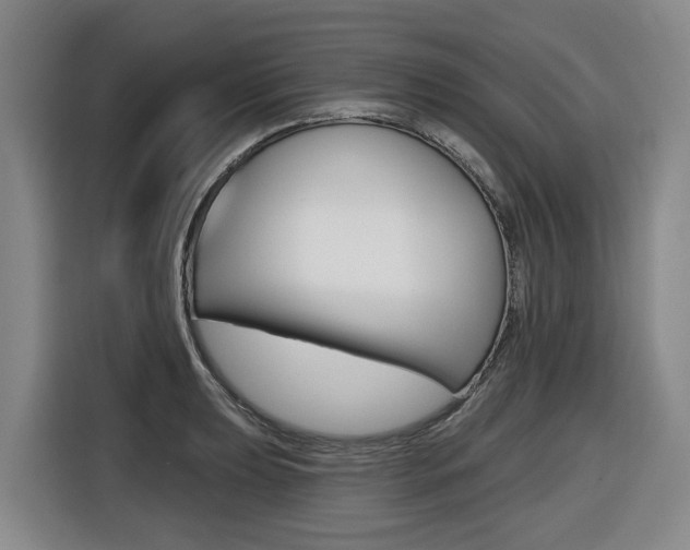 X0000116571039200912100959