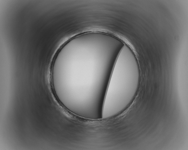 X0000116571040200912100959