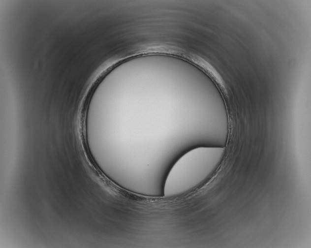 X0000116571043200912100959