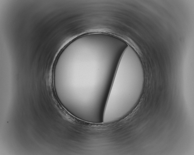 X0000116571044200912100959